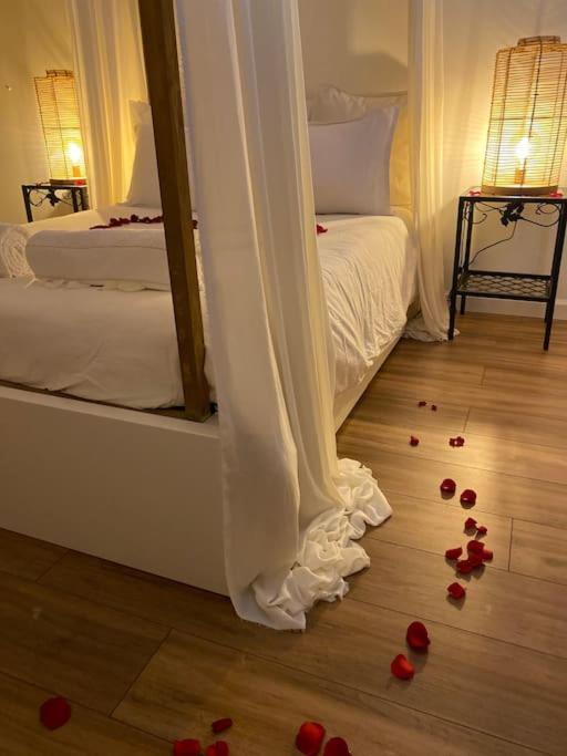 Guest House Privee Ezanville المظهر الخارجي الصورة